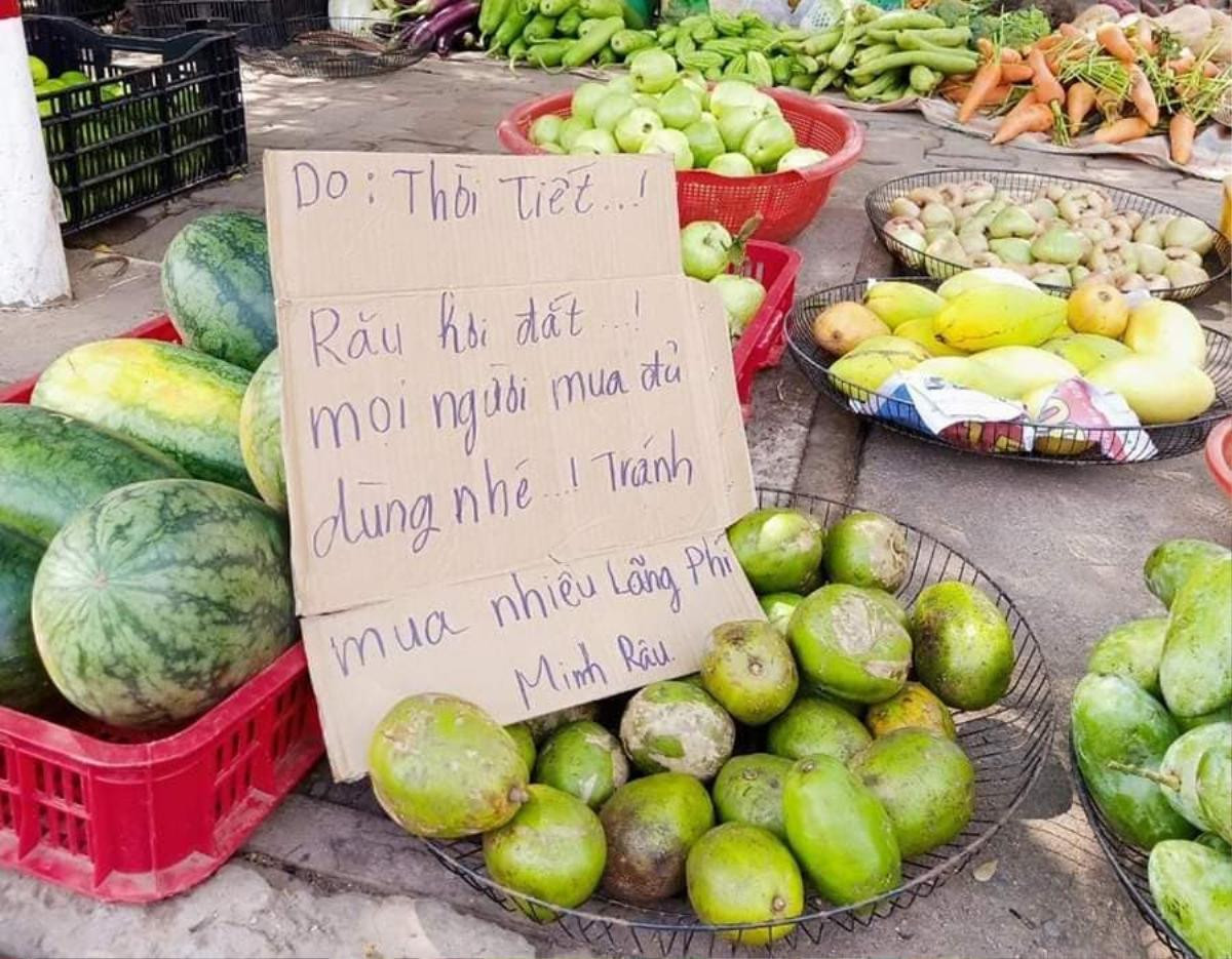 Chuyện 'gã' bán rau và cái tình hào sảng, sẵn sàng phát rau miễn phí cho bà con nghèo Ảnh 7