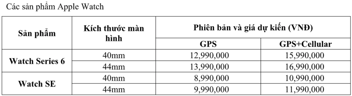 iPad và Apple Watch mới sẽ có giá dự kiến từ 8,99 triệu đồng khi về Việt Nam Ảnh 2