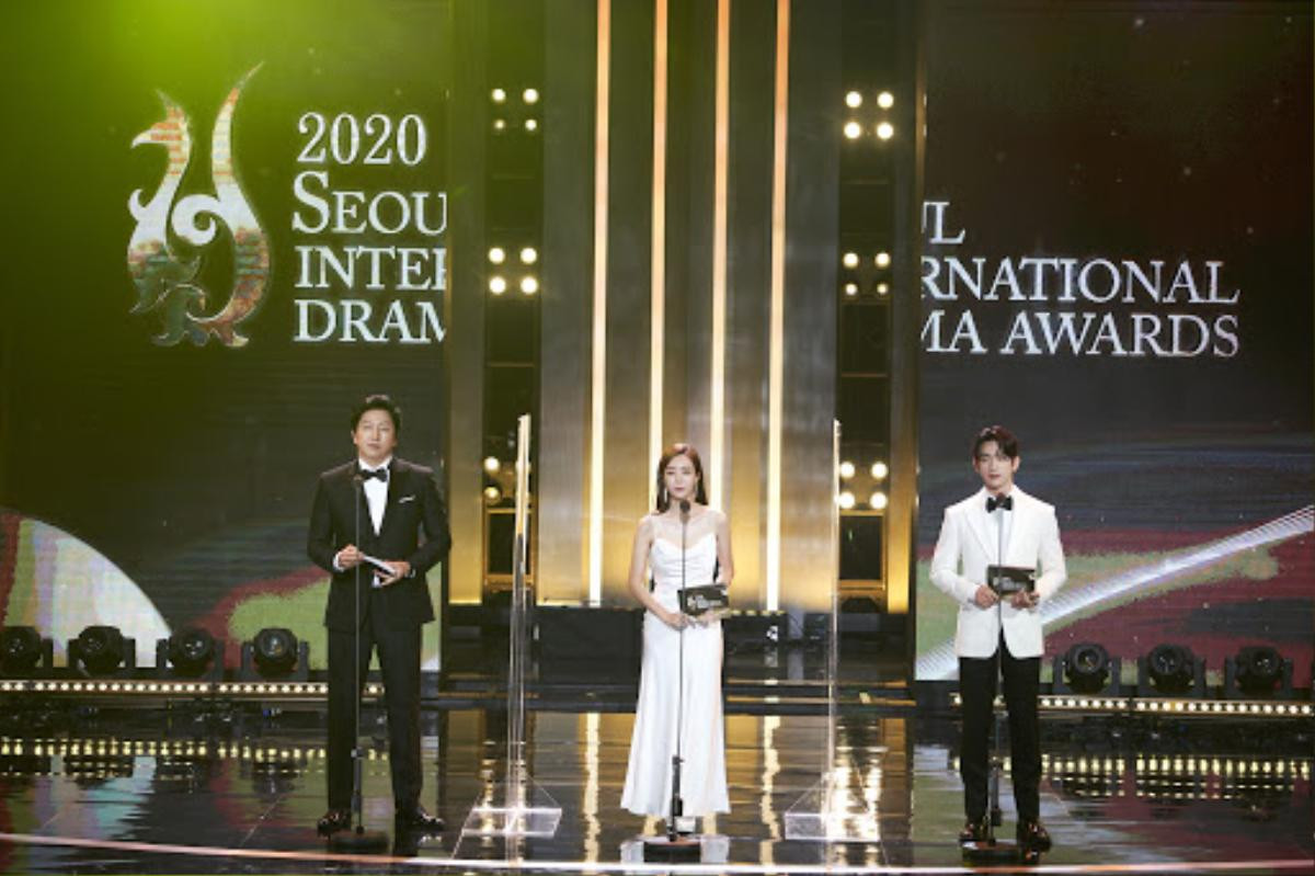 Người thắng cuộc 'Seoul Drama Awards 2020': Son Ye Jin - Kang Ha Neul và 'Khi hoa trà nở' thắng 5 giải Ảnh 1