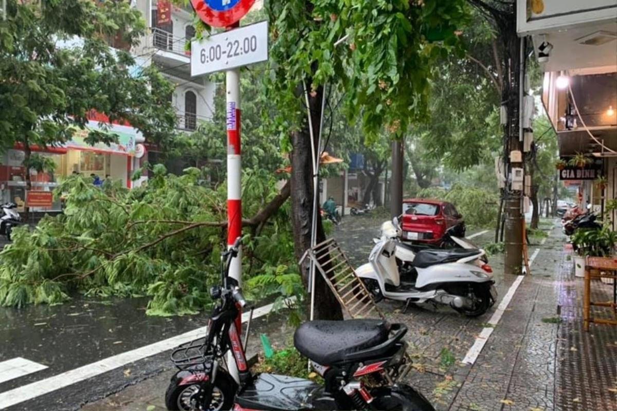 Thừa Thiên-Huế: Bão số 5 làm cây ngã đè một người tử vong, nhiều nhà cửa bị tốc mái Ảnh 5