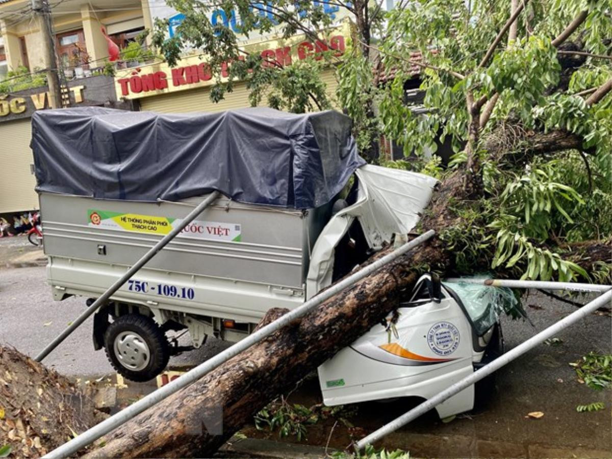 Thừa Thiên-Huế: Bão số 5 làm cây ngã đè một người tử vong, nhiều nhà cửa bị tốc mái Ảnh 4