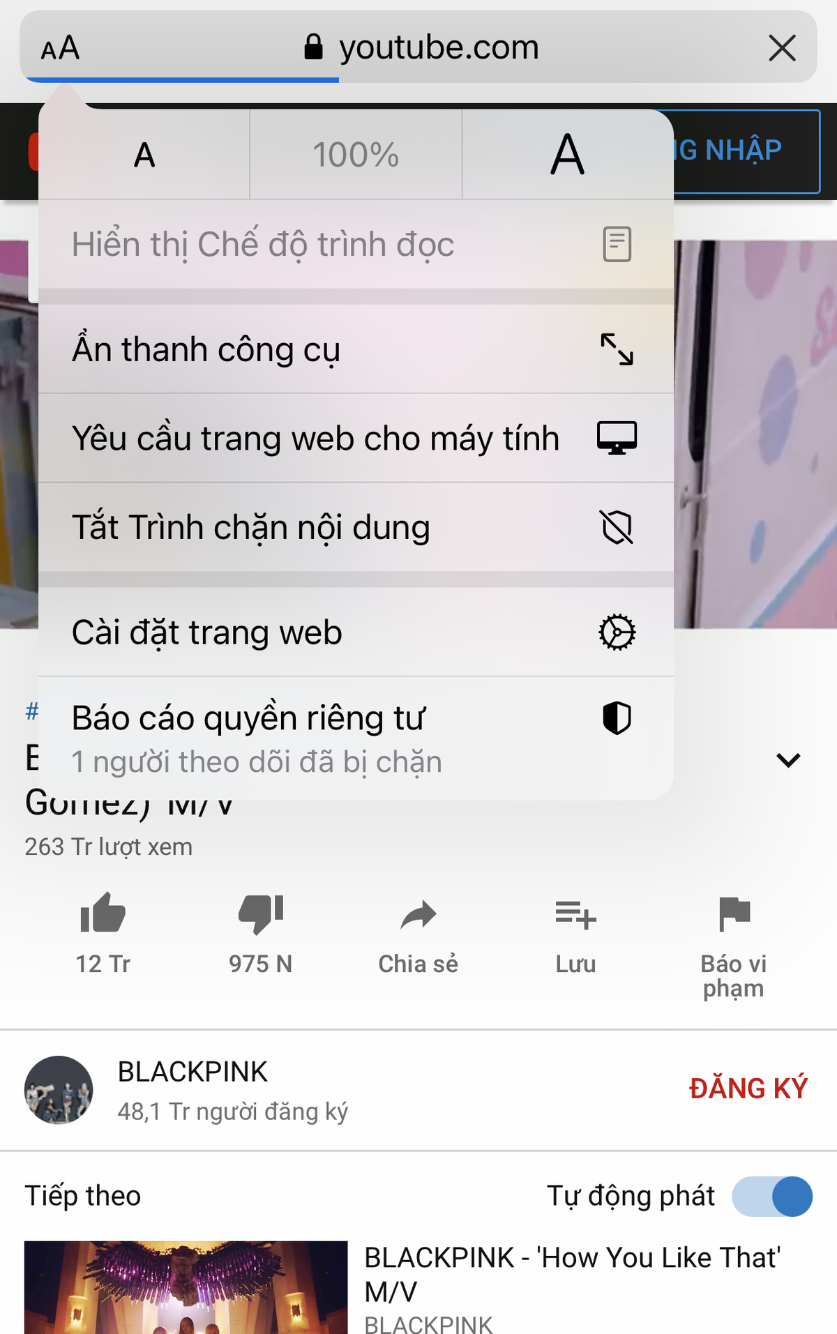 Mẹo nhỏ này sẽ giúp bạn xem được YouTube với chế độ PiP trên iOS 14 Ảnh 3