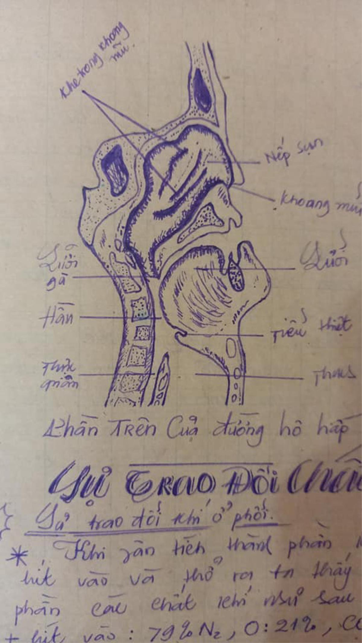 Quyển vở Sinh học ngày xưa khiến các cô cậu học trò ngưỡng mộ: Được vẽ tay toàn bộ, giống sách giáo khoa đến từng chi tiết Ảnh 4