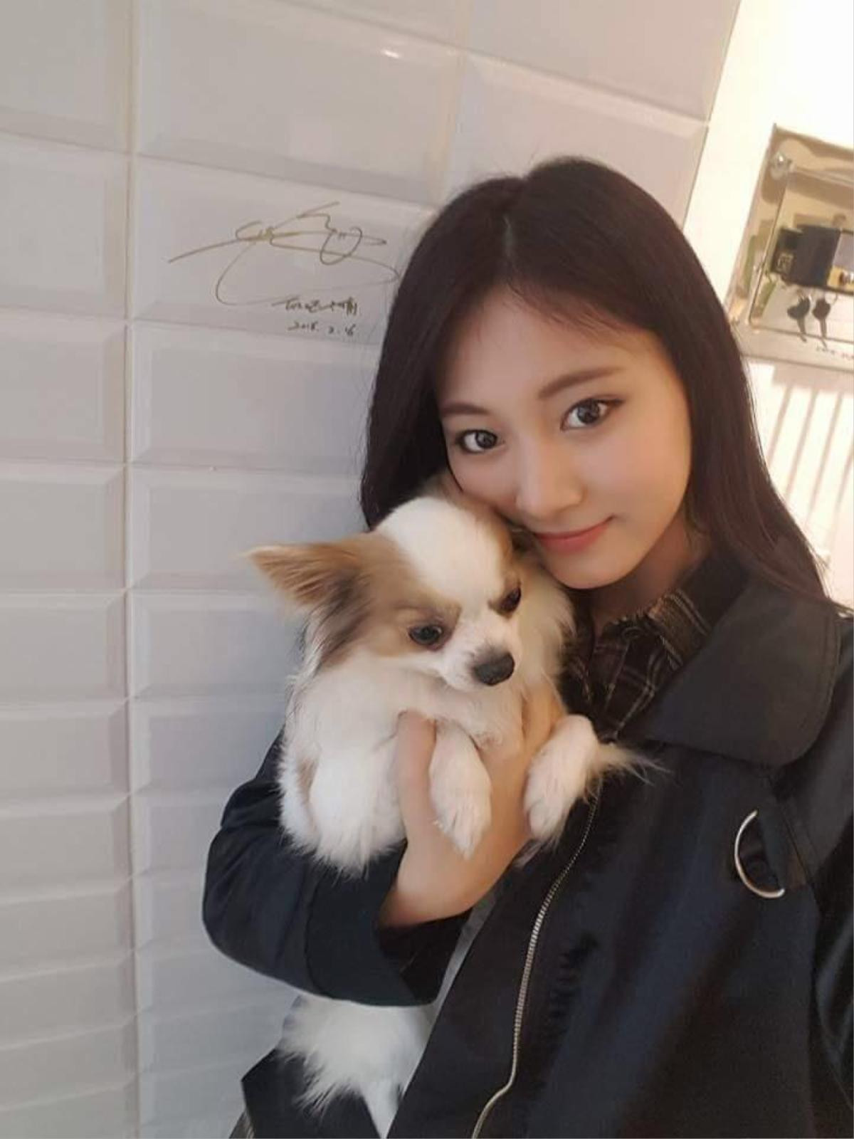 Chú cún cưng nổi tiếng của Tzuyu (TWICE) - Gucci - qua đời ở tuổi 11 Ảnh 8