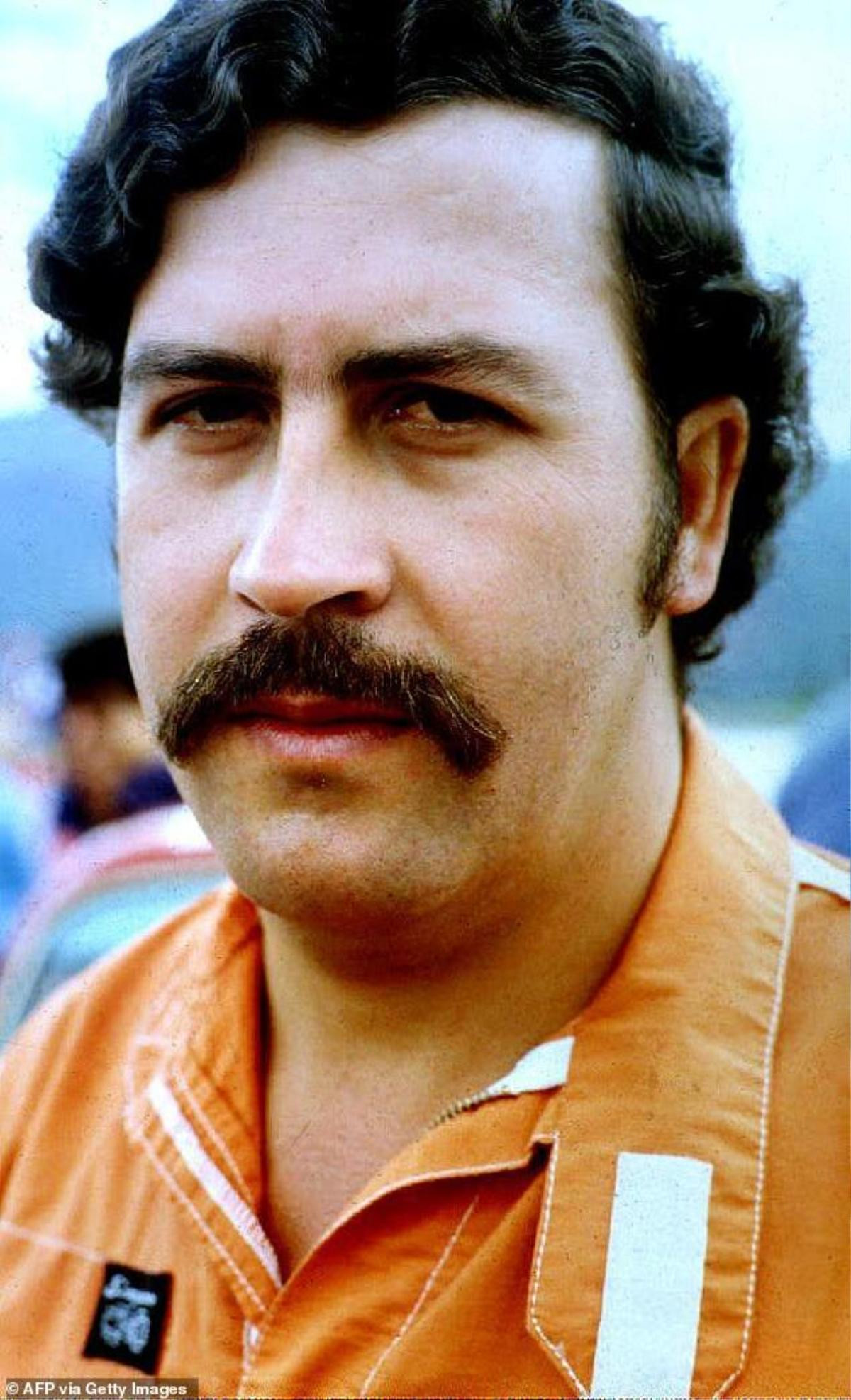 Cháu trùm ma túy khét tiếng Pablo Escobar tìm thấy hàng chục triệu đô trong nhà chú Ảnh 2