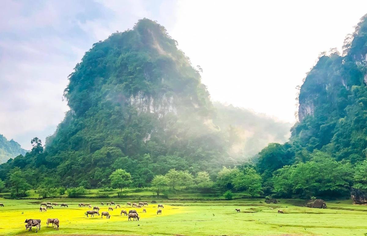 Phim 'Kiều' tung hình ảnh poster đầu tiên, hé lộ dàn tên tuổi kỳ cựu góp mặt Ảnh 11