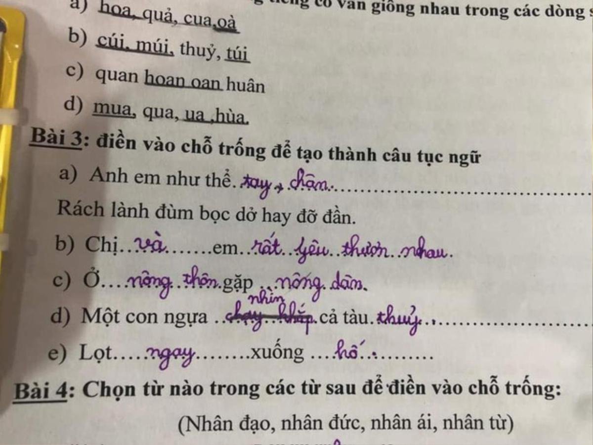 Giáo viên Tiếng Việt 'cạn lời' trước màn điền vào chỗ trống đầy sự ngô nghê của học sinh Tiểu học Ảnh 1