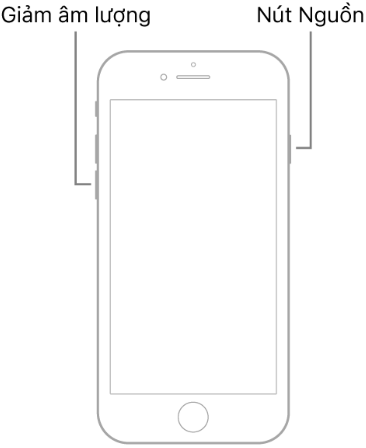 iPhone sau khi cập nhật iOS 14 sẽ còn nhanh hơn nữa nếu bạn biết mẹo nhỏ này Ảnh 7