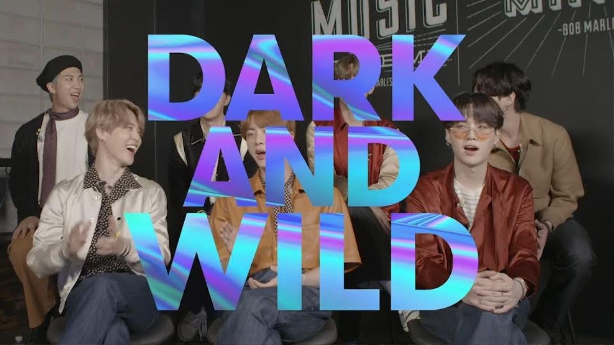 Jungkook nói về hậu trường 'Dark & Wild', RM trổ tài phiên dịch Ảnh 2