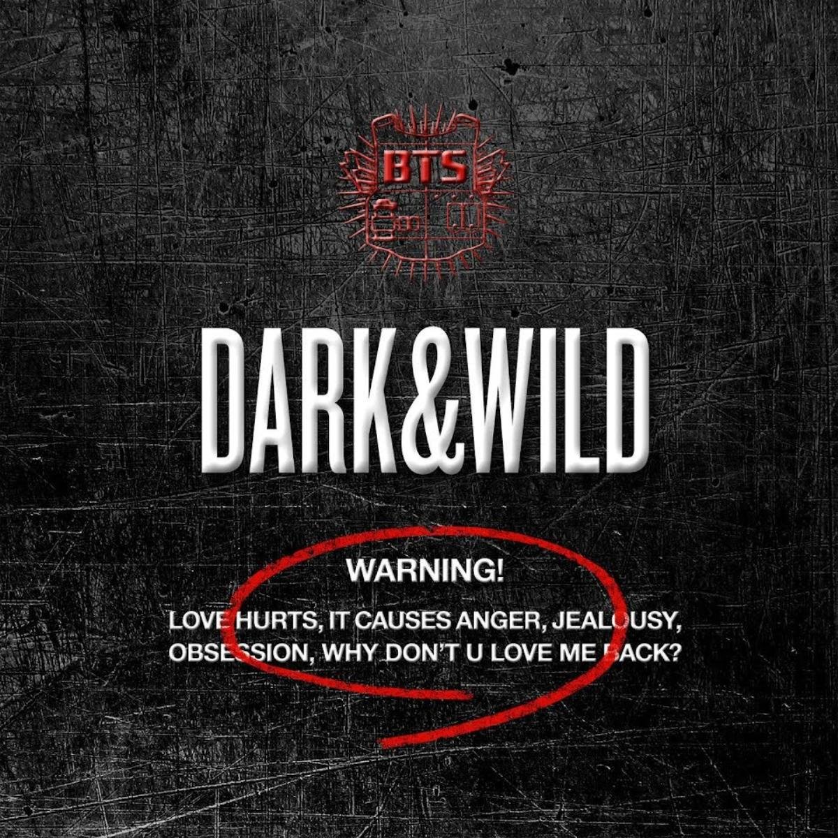 Jungkook nói về hậu trường 'Dark & Wild', RM trổ tài phiên dịch Ảnh 1