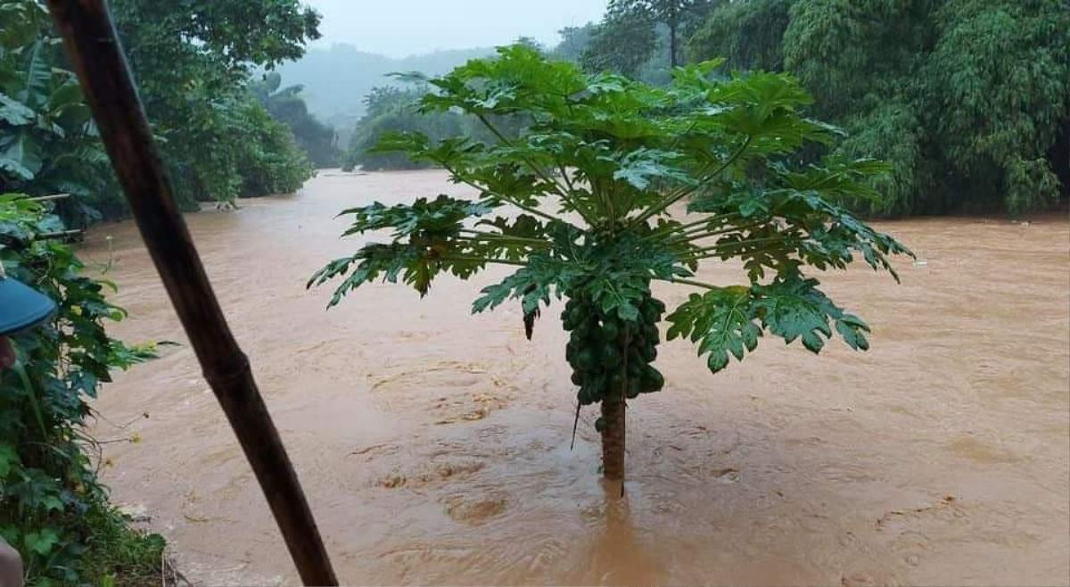 Mưa lớn lịch sử ở Lào Cai, bé 3 tuổi bị lũ cuốn tử vong Ảnh 1