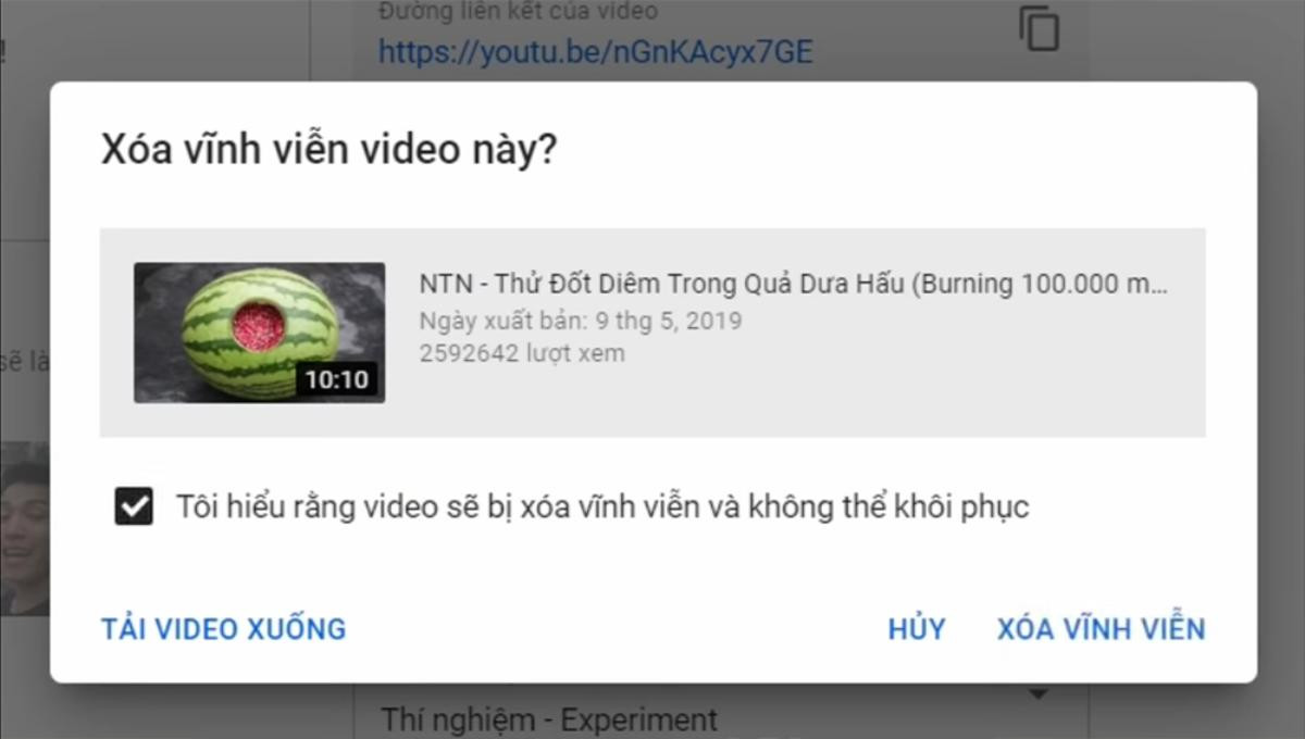 Lấy Hưng Vlog làm gương, NTN Vlog 'ăn năn' tự tay xóa loạt video phản cảm? Ảnh 2