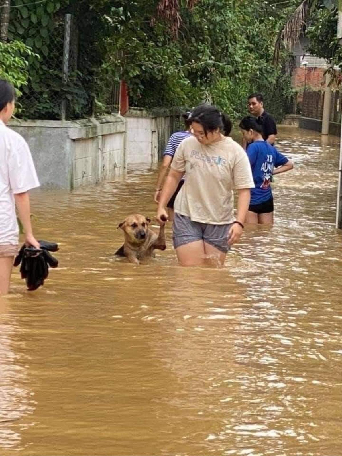 Góc đáng yêu: Nước lũ dâng ngập người, chú chó vẫn nũng nịu đòi chủ cõng trên lưng mới chịu đi Ảnh 2