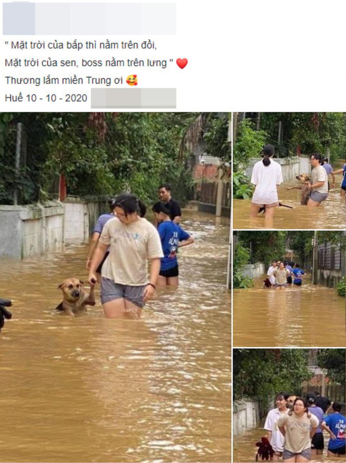 Góc đáng yêu: Nước lũ dâng ngập người, chú chó vẫn nũng nịu đòi chủ cõng trên lưng mới chịu đi Ảnh 1