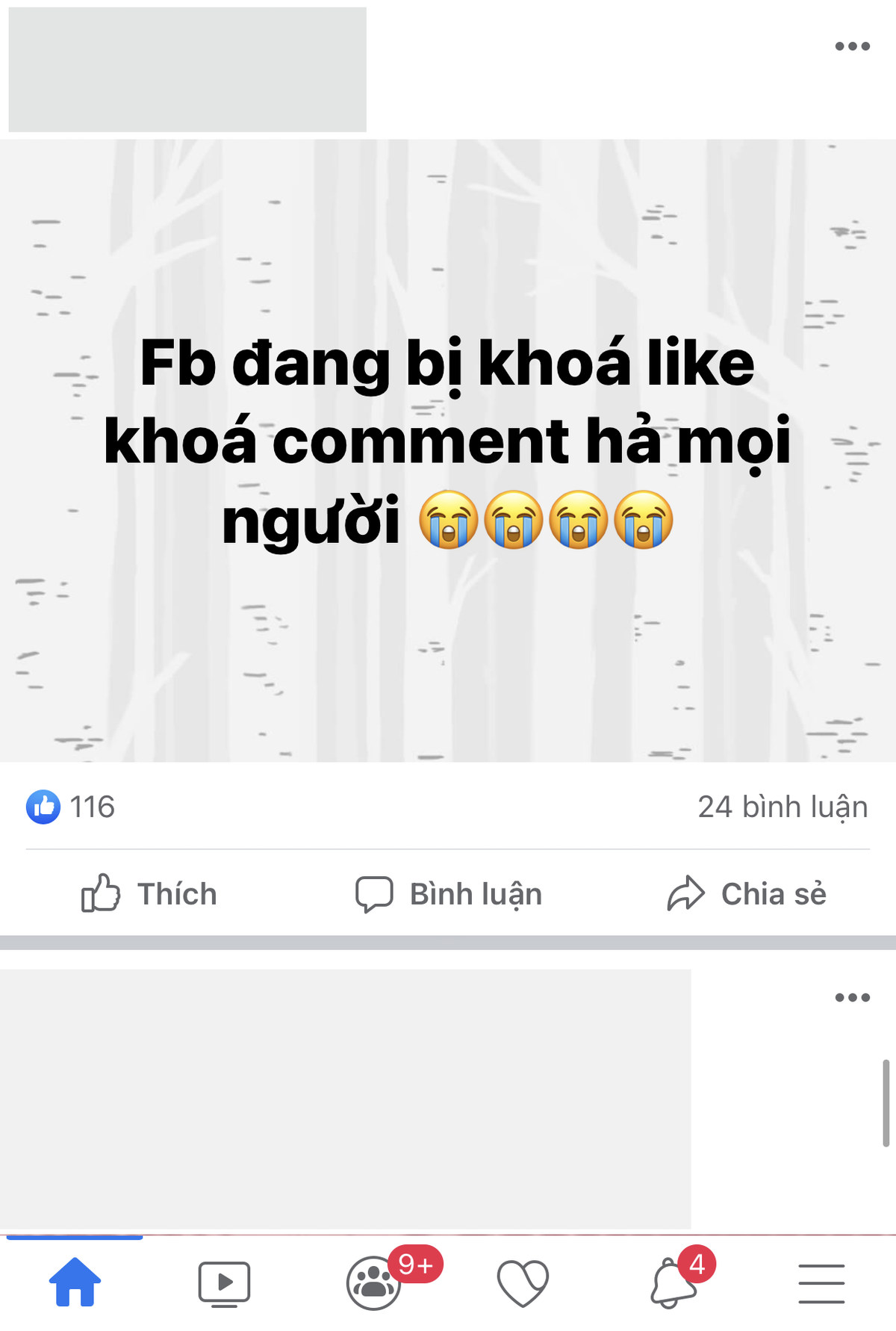 Facebook gặp lỗi lạ khiến nhiều người hoang mang: Bài đăng có trên 2 hình sẽ bị khoá bình luận! Ảnh 4