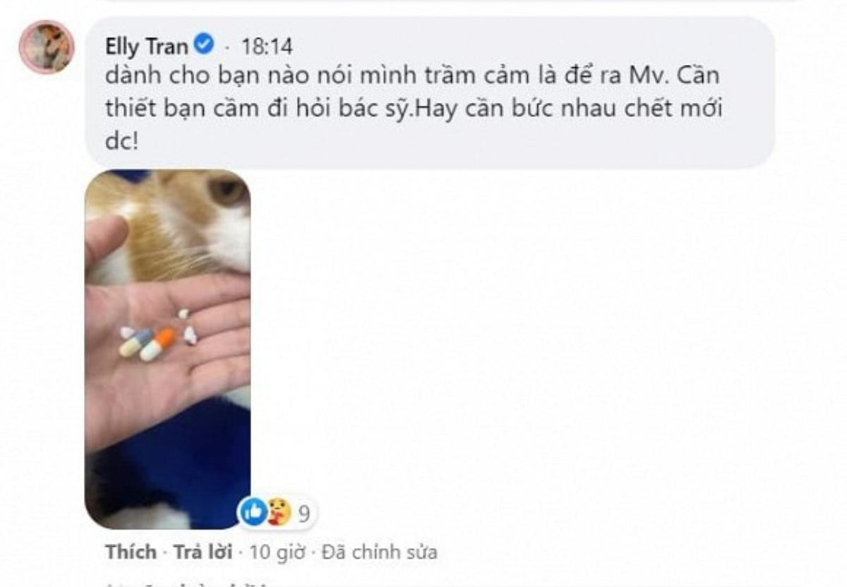 Elly Trần gay gắt 'đáp trả' khi bị anti-fan nói giả vờ trầm cảm để tạo chiêu trò thu hút sự chú ý Ảnh 4