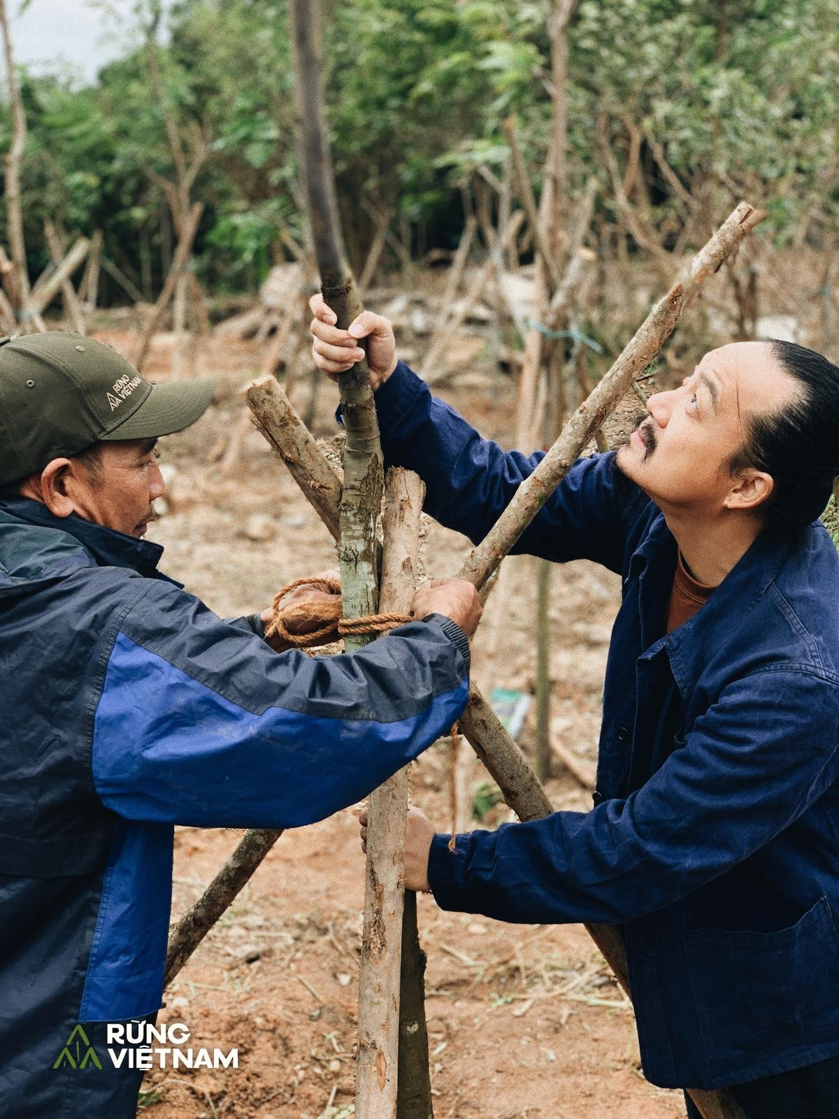 Rừng Việt Nam: Dự án cộng đồng ý nghĩa từ Hà Anh Tuấn Ảnh 8