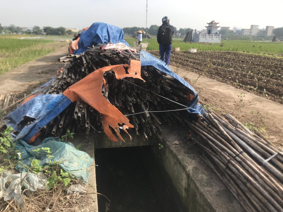 Toàn bộ đèn đường chiếu sáng nơi phát hiện dấu vết cuối cùng bị mất điện ngày nữ sinh Học viện Ngân hàng mất tích bí ẩn Ảnh 5