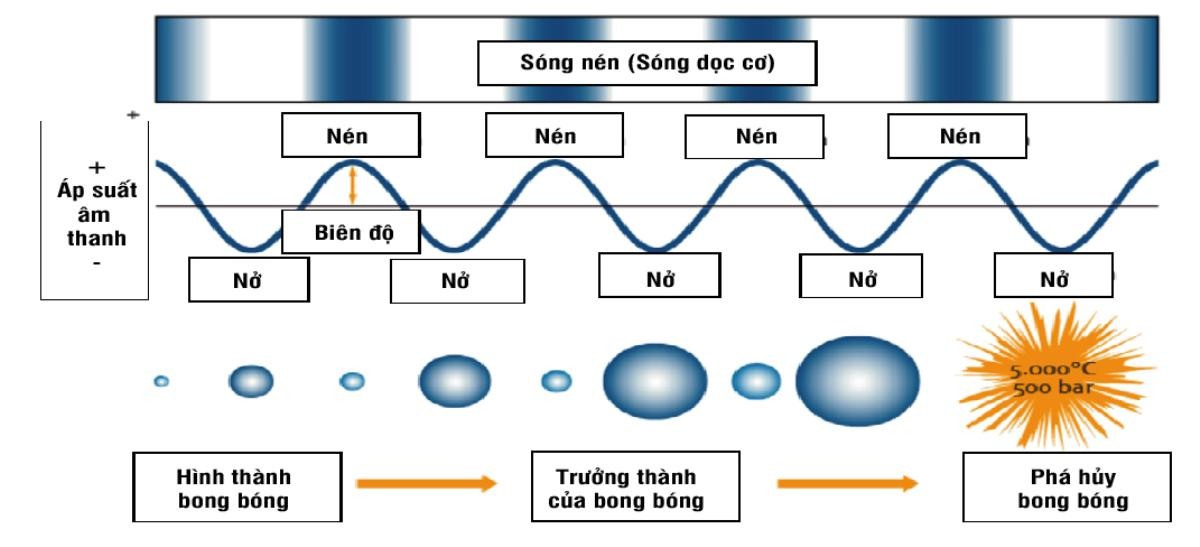 Đề xuất tài trợ miễn phí 'khử' mùi của bãi rác Nam Sơn bằng công nghệ Nhật Bản Ảnh 7