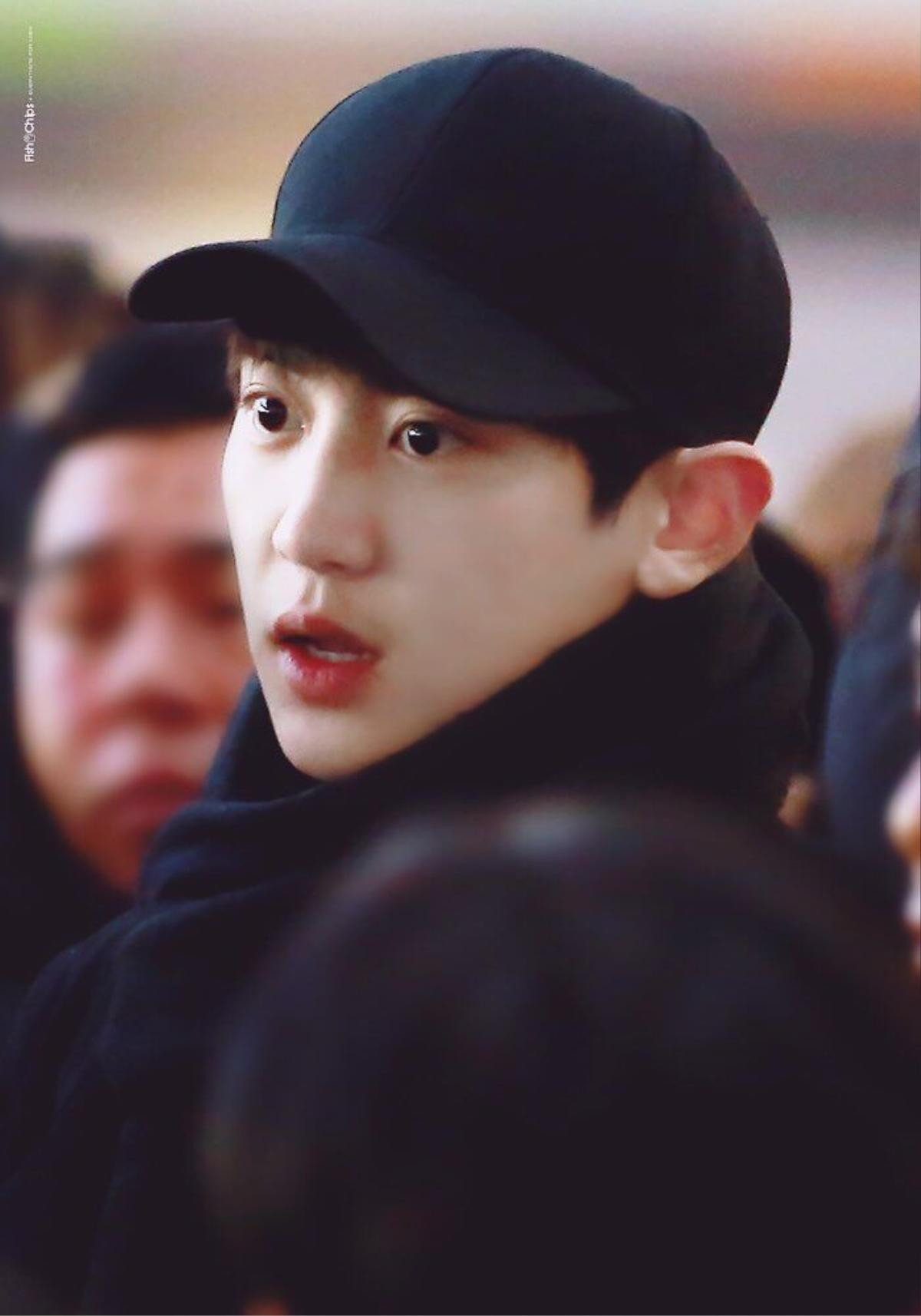 Soi ra bằng chứng giả, Chanyeol (EXO) có vô tội: Fan cuồng nhiệt tin tưởng idol? Ảnh 12