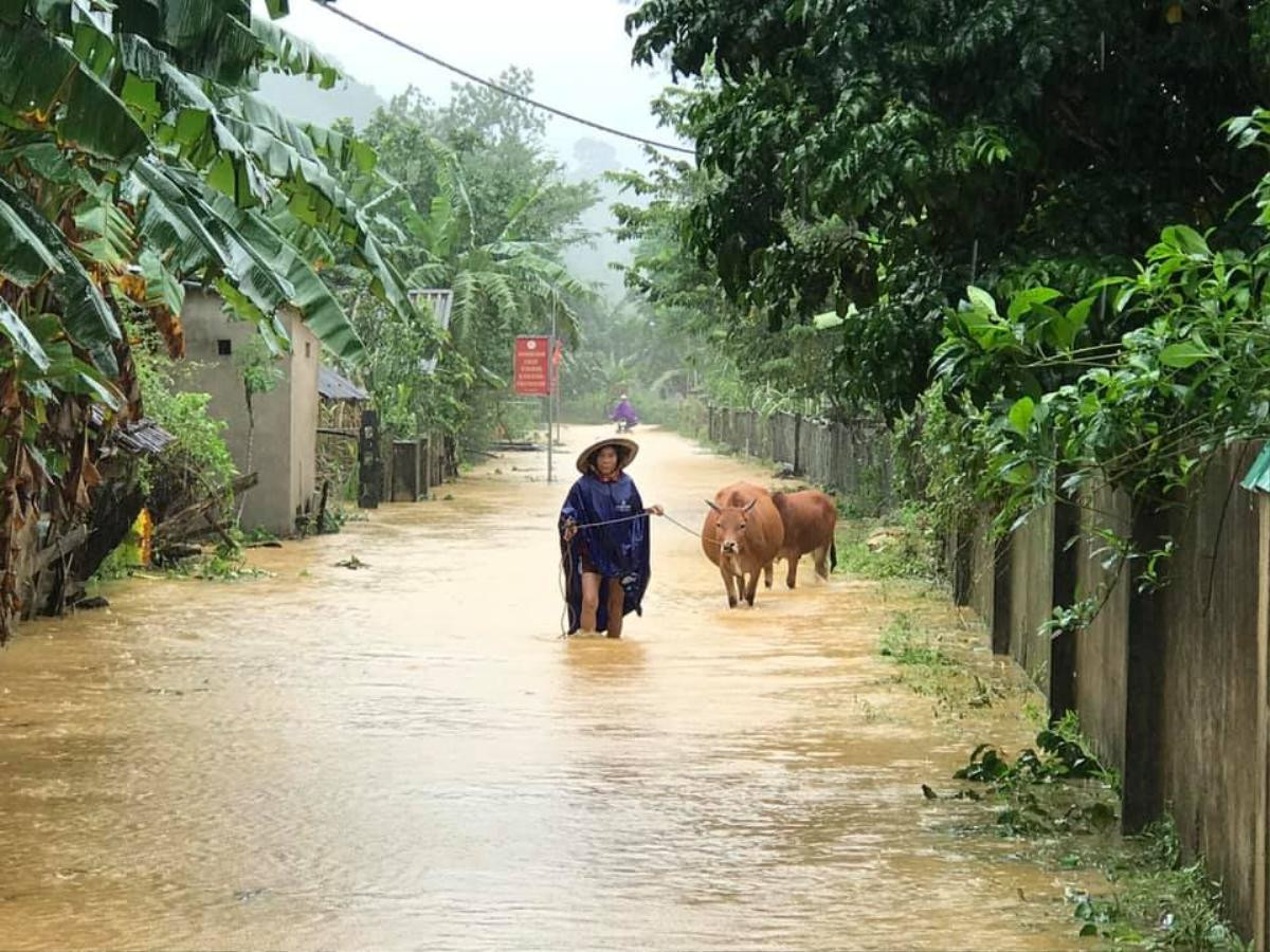 Hà Tĩnh lệnh sơ tán khẩn cả nghìn người dân khỏi vùng ngập lụt, sạt lở Ảnh 2