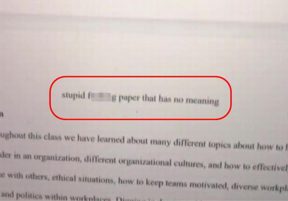 Gửi bài luận giữa kỳ qua e-mail, nữ sinh viên bật khóc vì quên sửa tiêu đề 'khiêu khích' giảng viên Ảnh 2