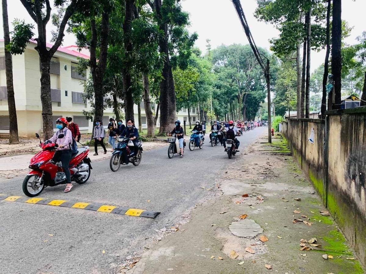 Sinh viên ĐH Nông Lâm TP. HCM nhận nhiều lời khen ngợi bởi văn hoá xếp hàng Ảnh 2