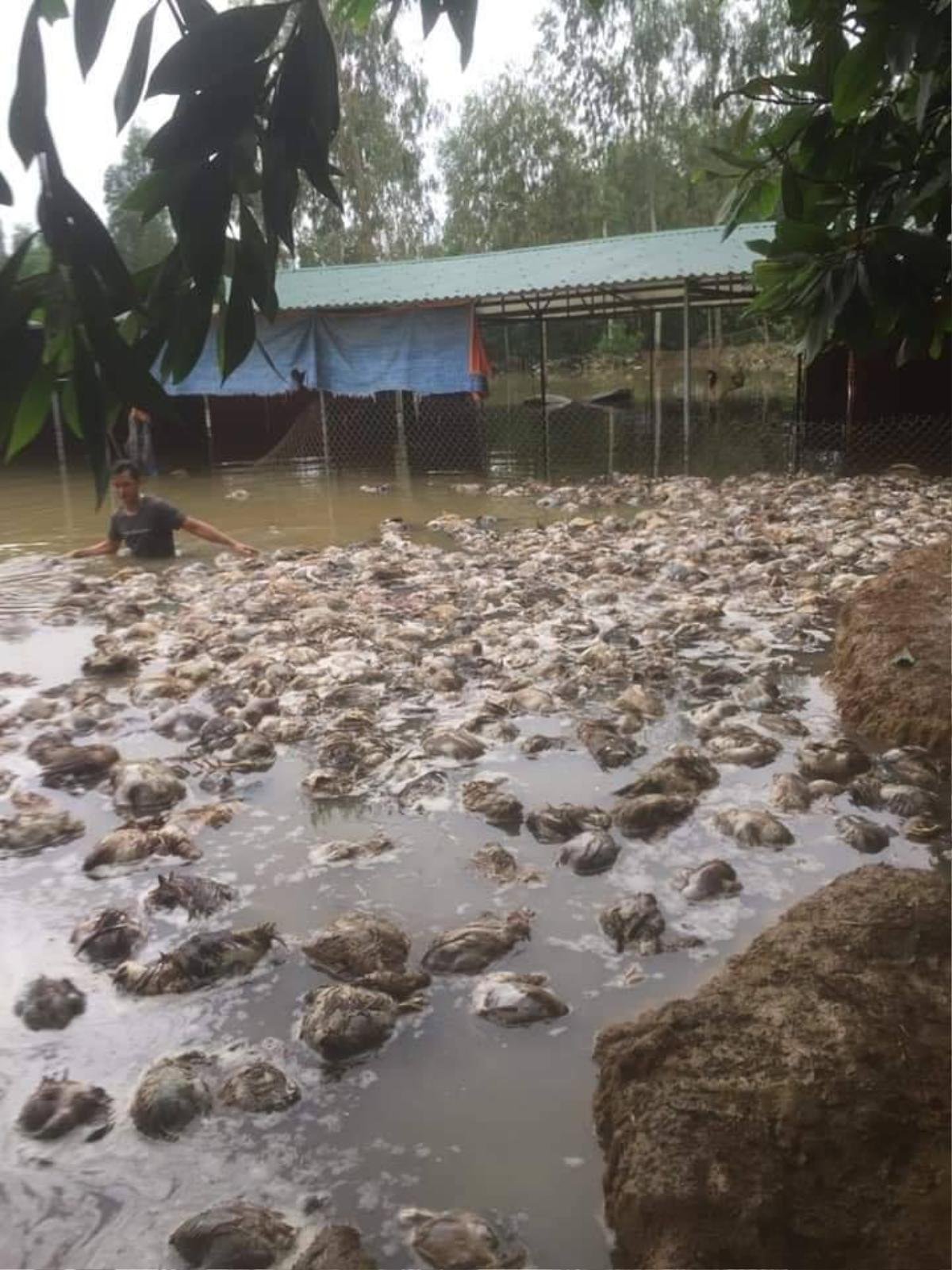 Thuỷ Tiên - Công Vinh hỗ trợ 115 triệu đồng cho một hộ dân ở Nghệ An Ảnh 2