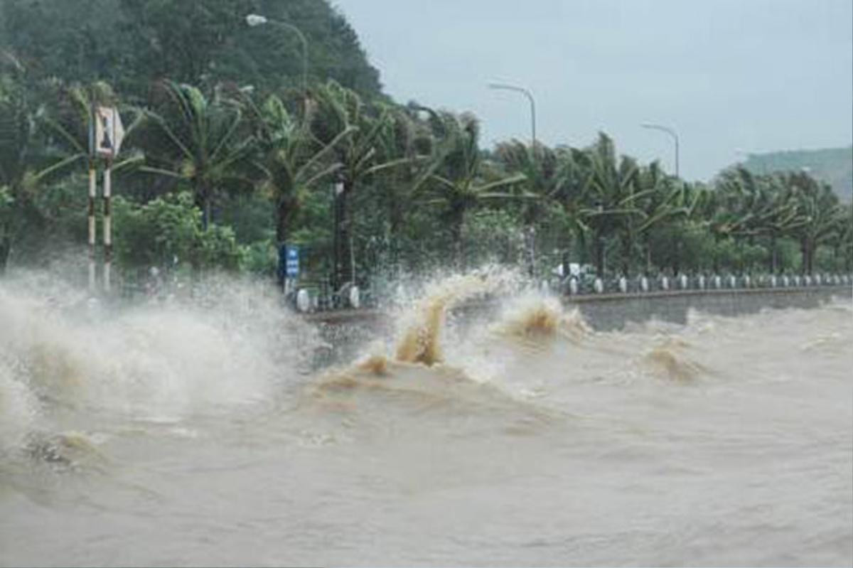 Phú Yên ra thông báo cấm biển từ 9h ngày 4/11 để ứng phó với bão số 10 Ảnh 1