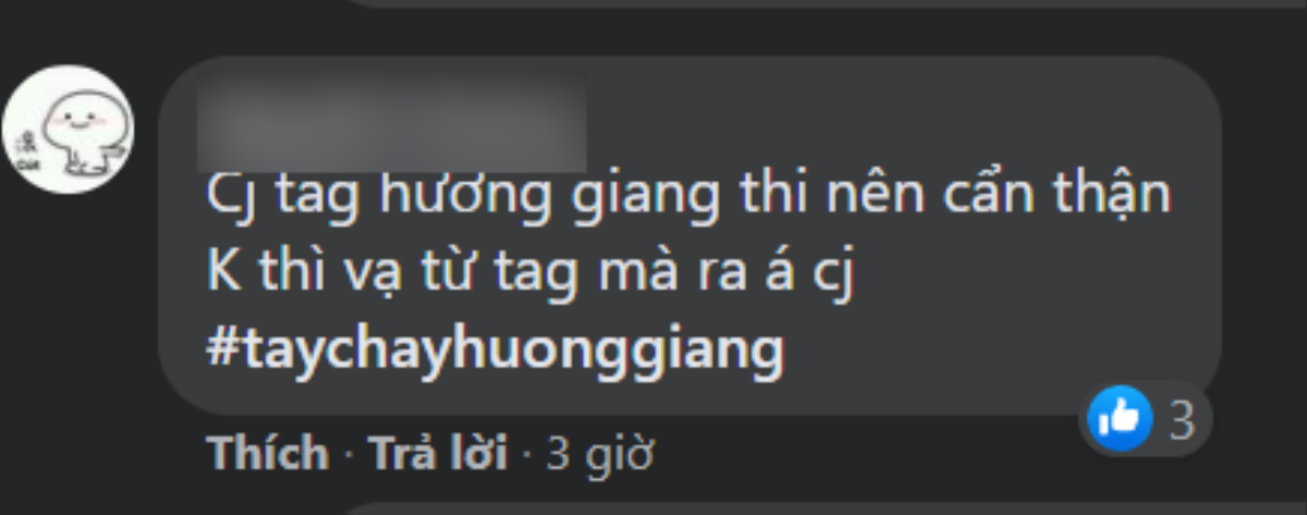 Thêm tên Hương Giang vào bài đăng, Thúy Ngân bị anti 'Nữ hoàng đạo lý' ném đá 'oan uông' Ảnh 4