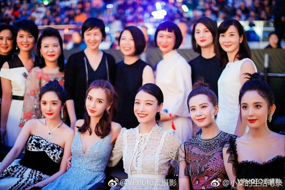 Những sao nữ Hoa ngữ 8X trở lại showbiz sau sinh: Dương Mịch mất hết vẻ trẻ trung, Triệu Lệ Dĩnh áp lực Ảnh 2