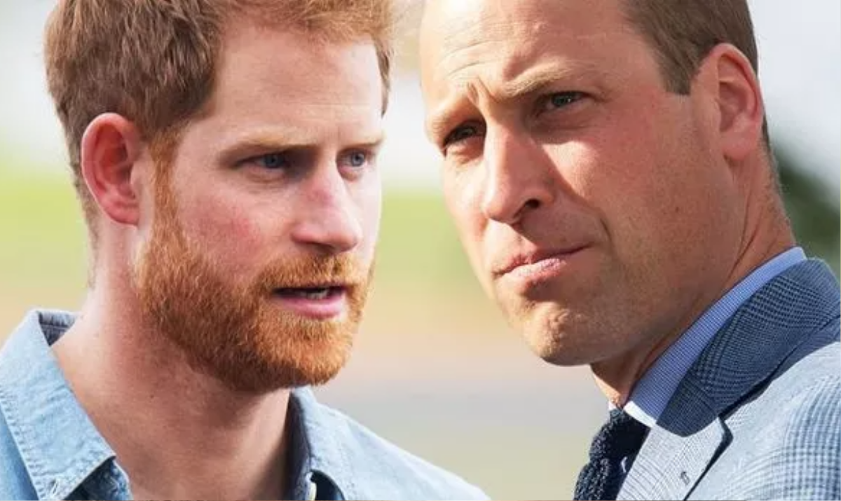 Harry bất mãn vì bị xem là 'kẻ nổi loạn thừa thãi' khi so sánh với William Ảnh 1