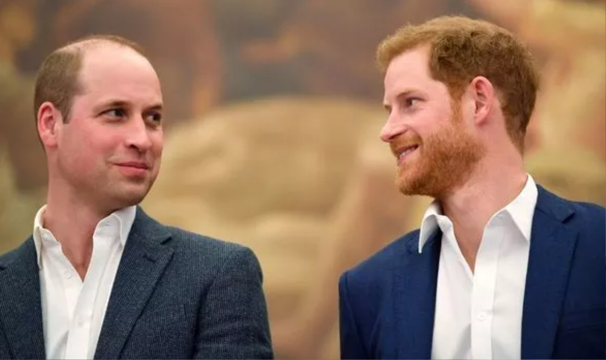 Harry bất mãn vì bị xem là 'kẻ nổi loạn thừa thãi' khi so sánh với William Ảnh 2