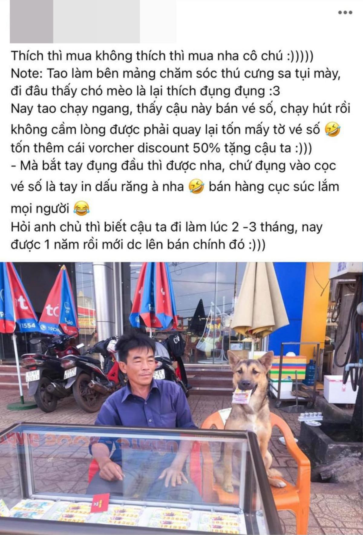 Dân mạng thích thú trước hình ảnh chú chó ngồi bán vé số, phản ứng của 'boss' khi bán hàng càng gây chú ý Ảnh 1