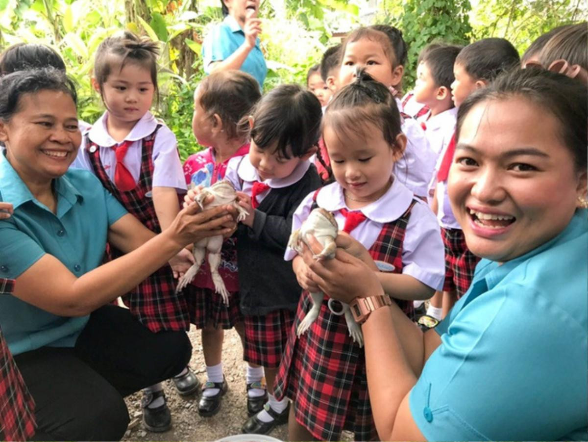 Học trò hào hứng với buổi ngoại khóa ở trại ếch, loạt ảnh cuối ghi lại kết cục bất ngờ của loài lưỡng cư Ảnh 7