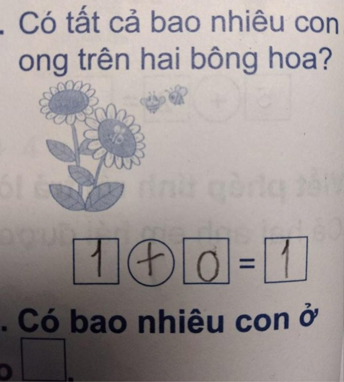 Bài toán đếm số lượng ong trên hai bông hoa khiến mẹ và bé đưa ra đáp án trái ngược nhau Ảnh 1