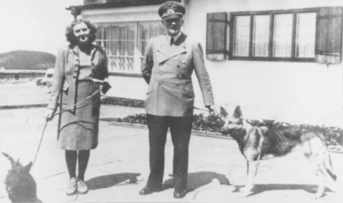 Con chó cưng được Hitler yêu chiều hơn cả tình nhân Ảnh 1