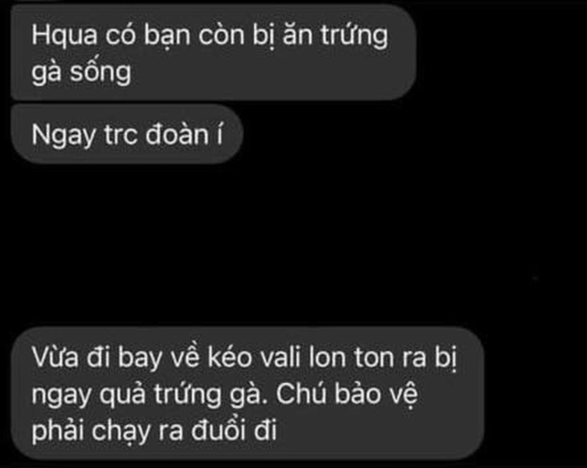 Đồng loạt tiếp viên hàng không Vietnam Airlines lên tiếng xin lỗi cộng đồng trên mạng xã hội Ảnh 4