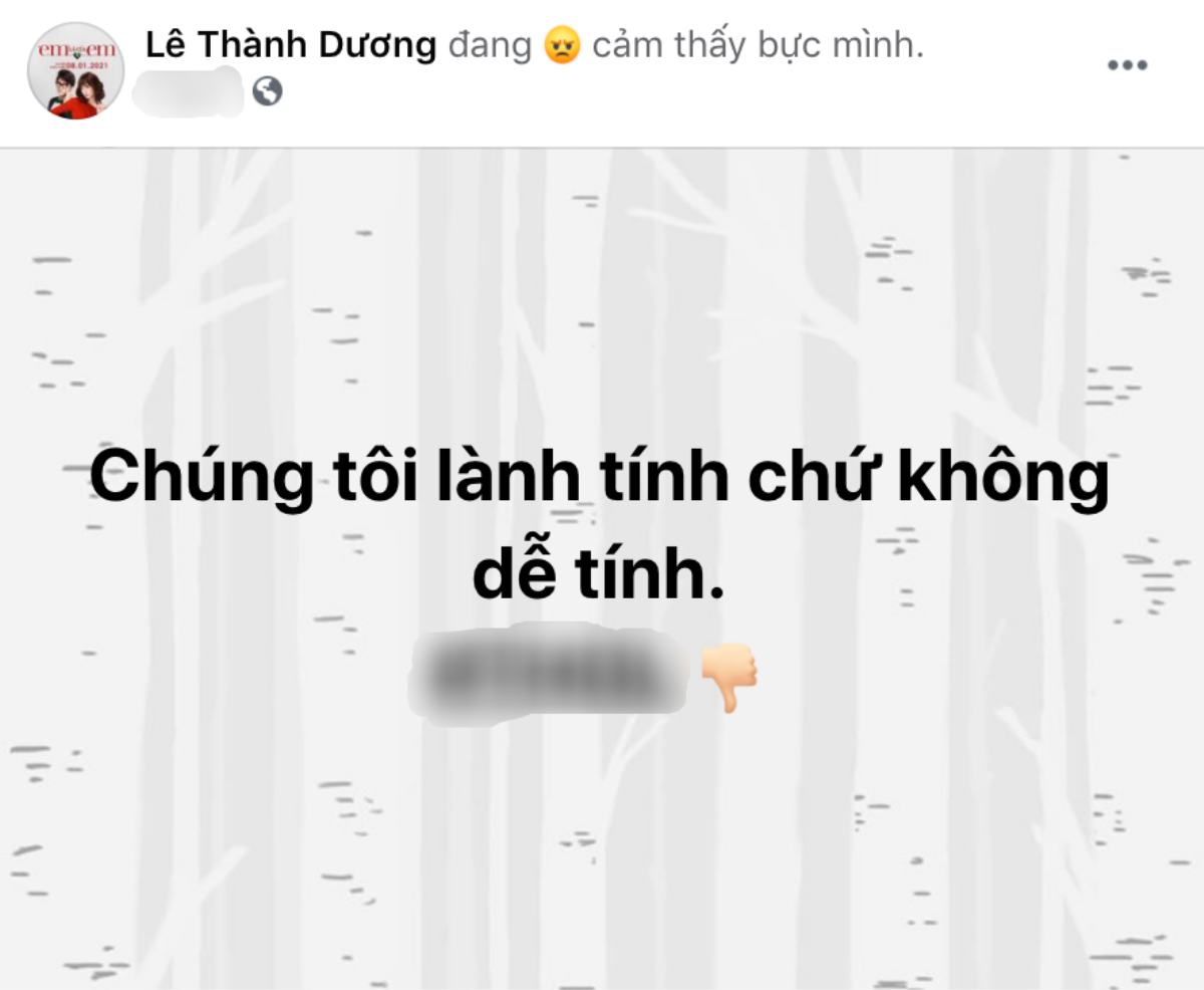 Nghệ sĩ Việt phẫn nộ khi gia đình cố nghệ sĩ Chí Tài bị một gymer công kích để 'câu like' lộ liễu Ảnh 6