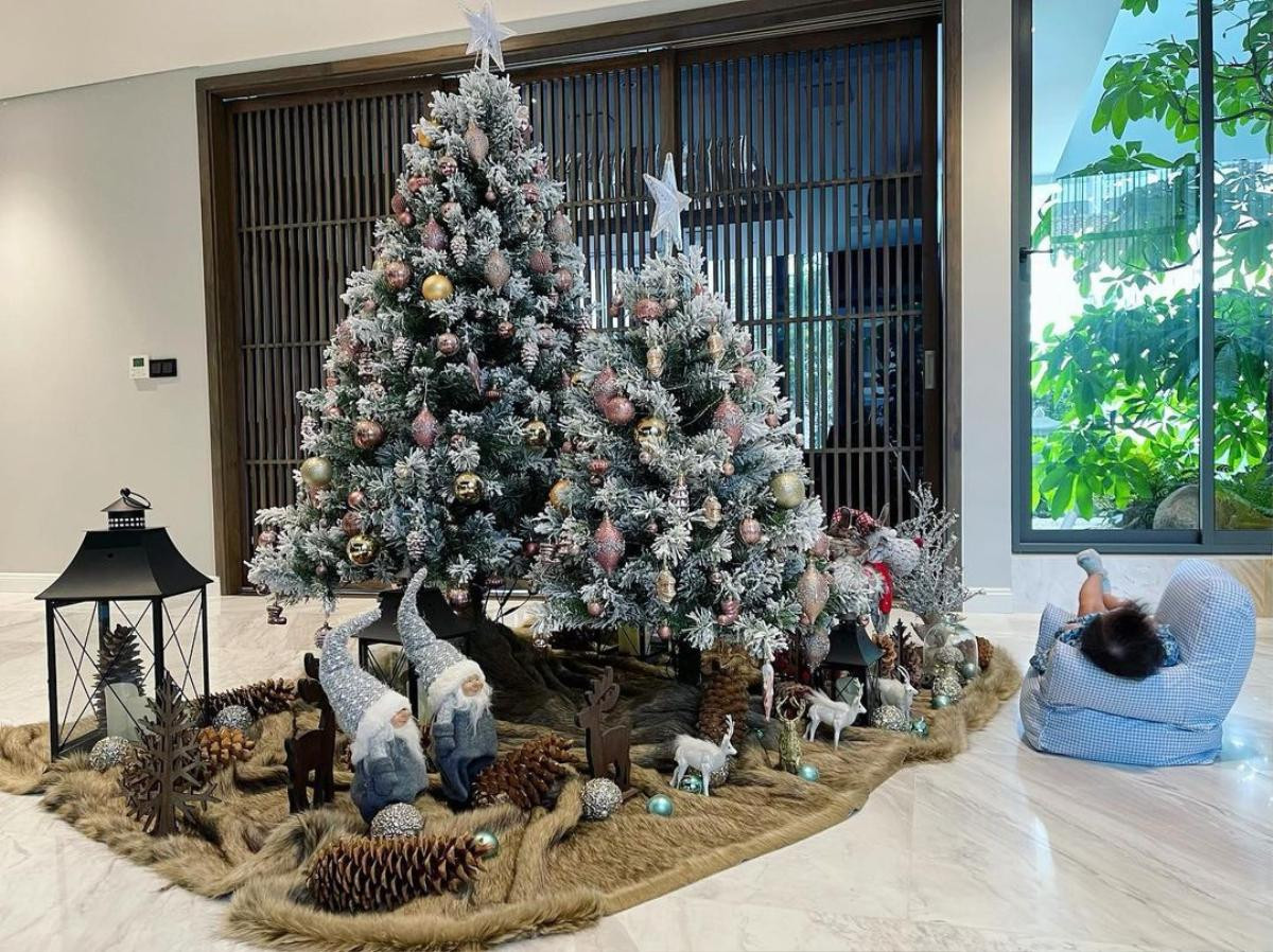 Biệt thự xa hoa của Đàm Thu Trang - Cường Đô La lộng lẫy đón Noel: Subeo quấn quýt em gái Suchin Ảnh 4