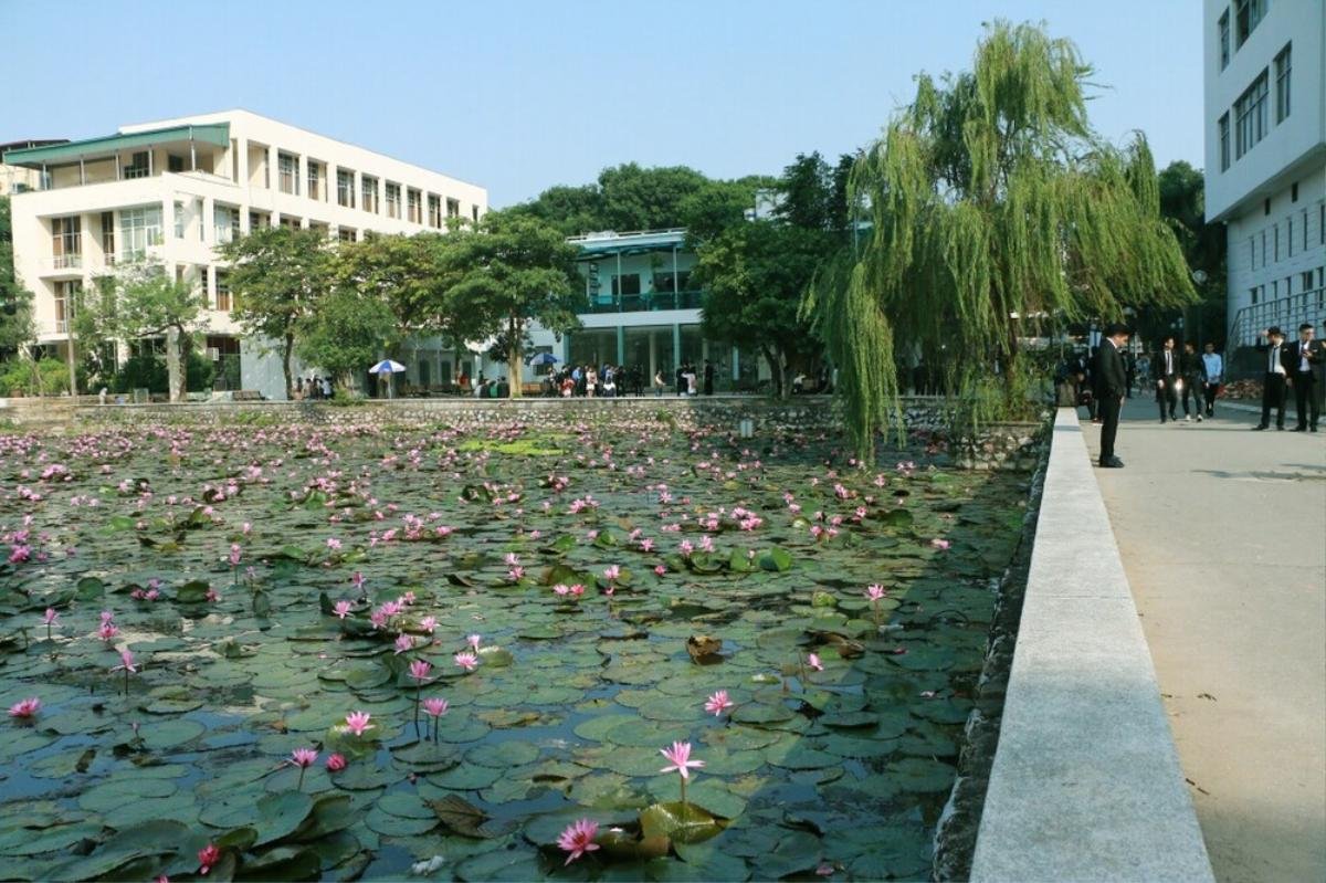 Những Đại học đẹp nhất Hà Nội: Nơi có hoa nở quanh năm, nơi sở hữu khuôn viên đẹp lãng mạn hệt trời Tây Ảnh 16