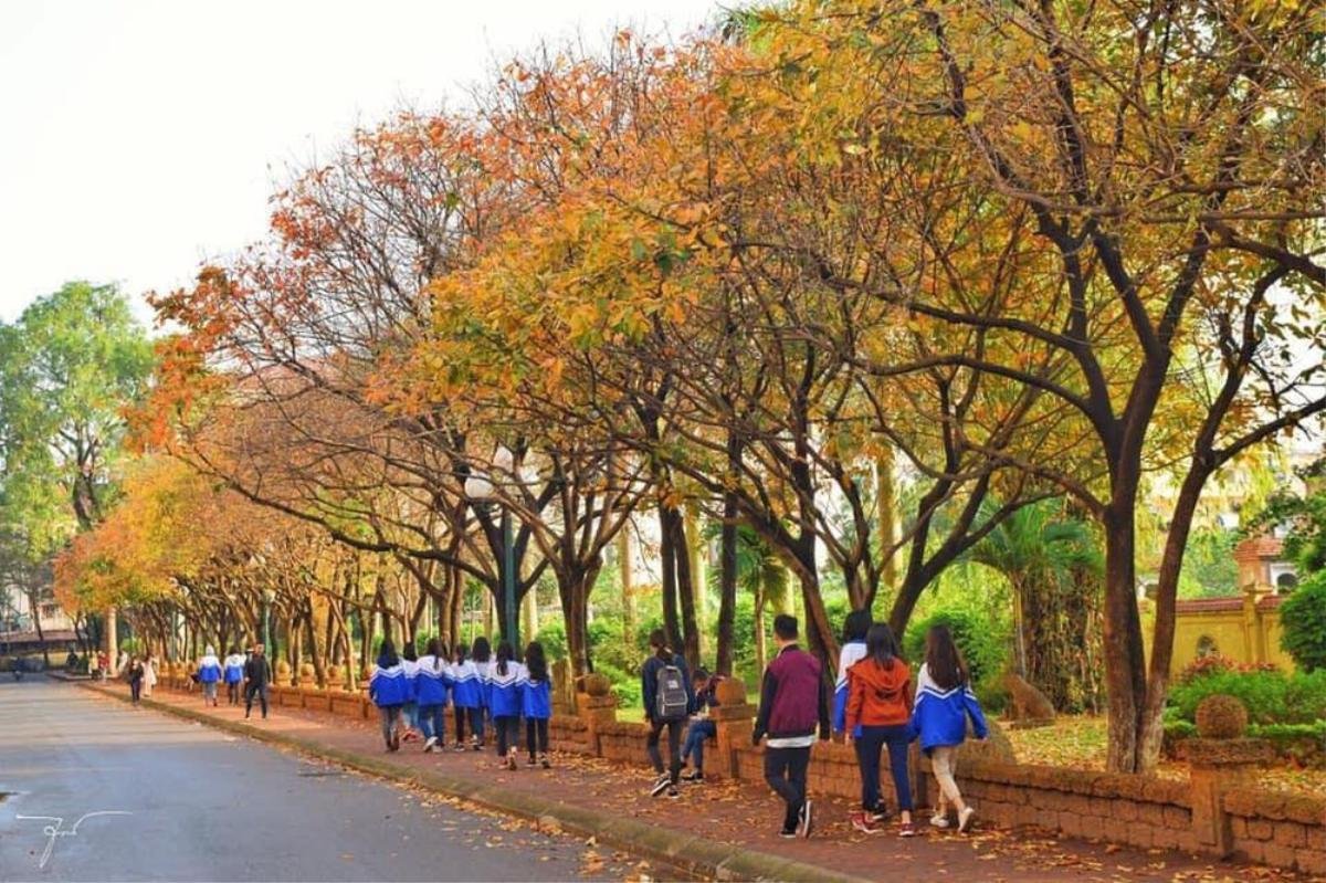 Những Đại học đẹp nhất Hà Nội: Nơi có hoa nở quanh năm, nơi sở hữu khuôn viên đẹp lãng mạn hệt trời Tây Ảnh 8