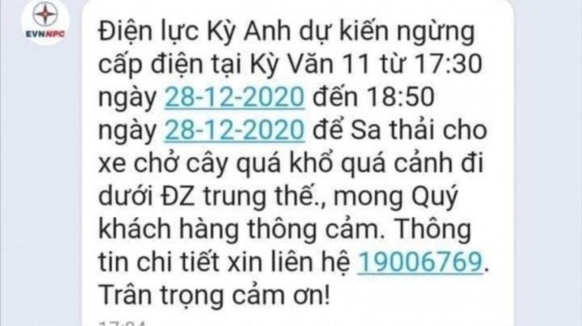 Hà Tĩnh: Xôn xao việc cắt điện cho cây 'khủng' đi qua đường Ảnh 1