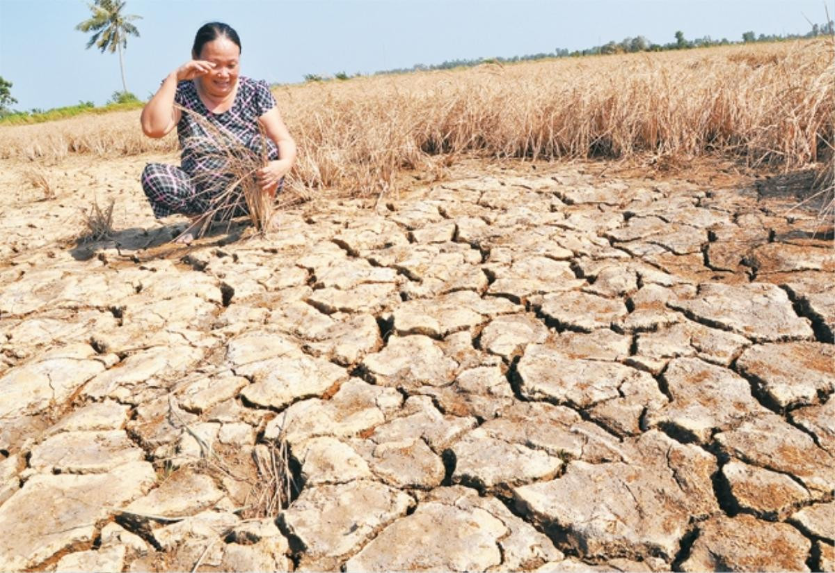 Dấu ấn xã hội Việt Nam 2020: Sự tử tế lên ngôi và tình người lúc hoạn nạn Ảnh 5