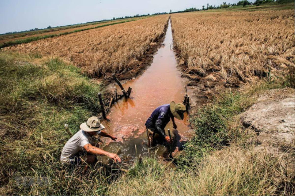 Dấu ấn xã hội Việt Nam 2020: Sự tử tế lên ngôi và tình người lúc hoạn nạn Ảnh 4