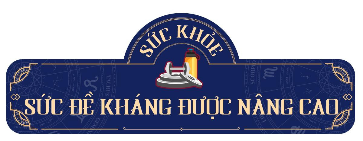 Xem tử vi cung Xử Nữ năm 2021: Công việc gặp nhiều rắc rối, người độc thân dễ thoát kiếp FA Ảnh 7