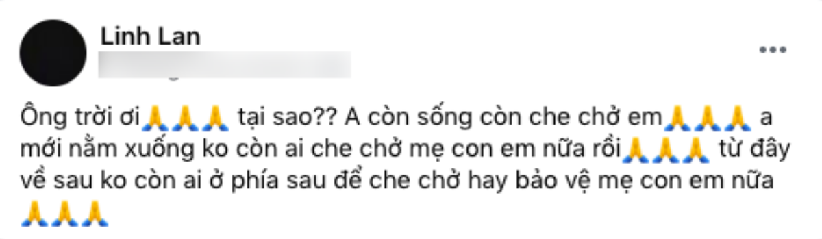 Vợ Vân Quang Long đau khổ khi bị từ chối nhận con dâu: 'Anh nằm xuống không còn ai che chở mẹ con em nữa' Ảnh 1