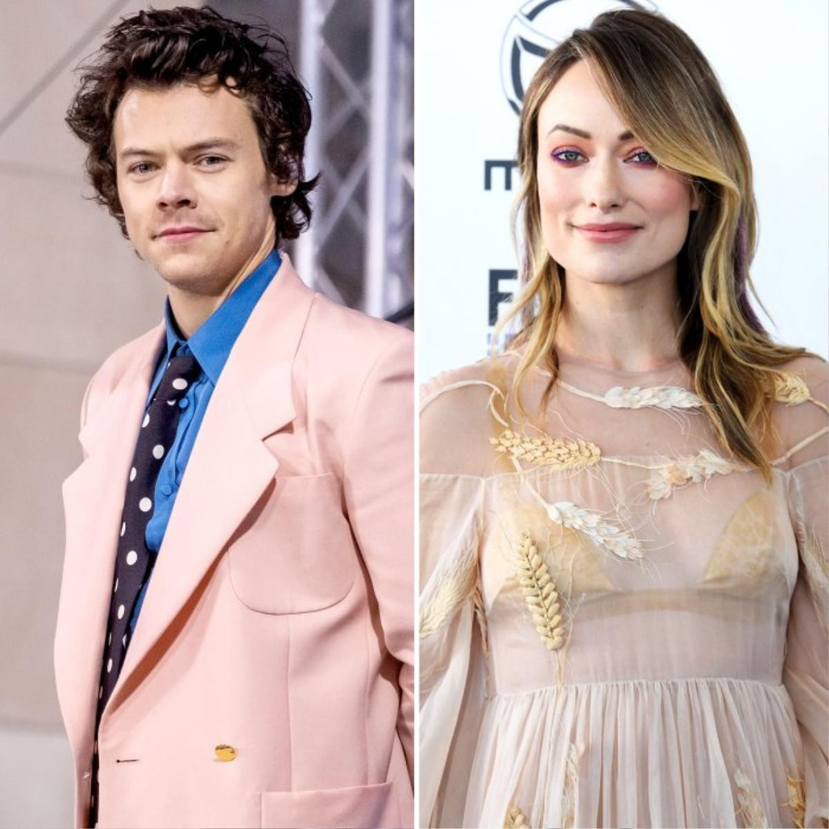 Harry Styles và Olivia Wilde chính thức xác nhận tình cảm khi tình tứ nắm tay nhau Ảnh 2