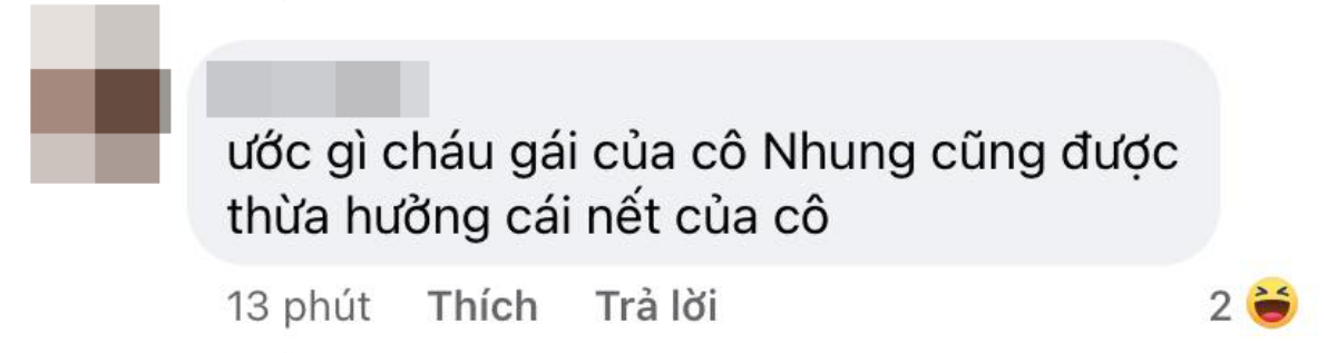 Phi Nhung tự tay làm đồ ăn cho người bán vé số, dân mạng tranh thủ 'cà khịa' Hương Giang vì lý do này... Ảnh 3