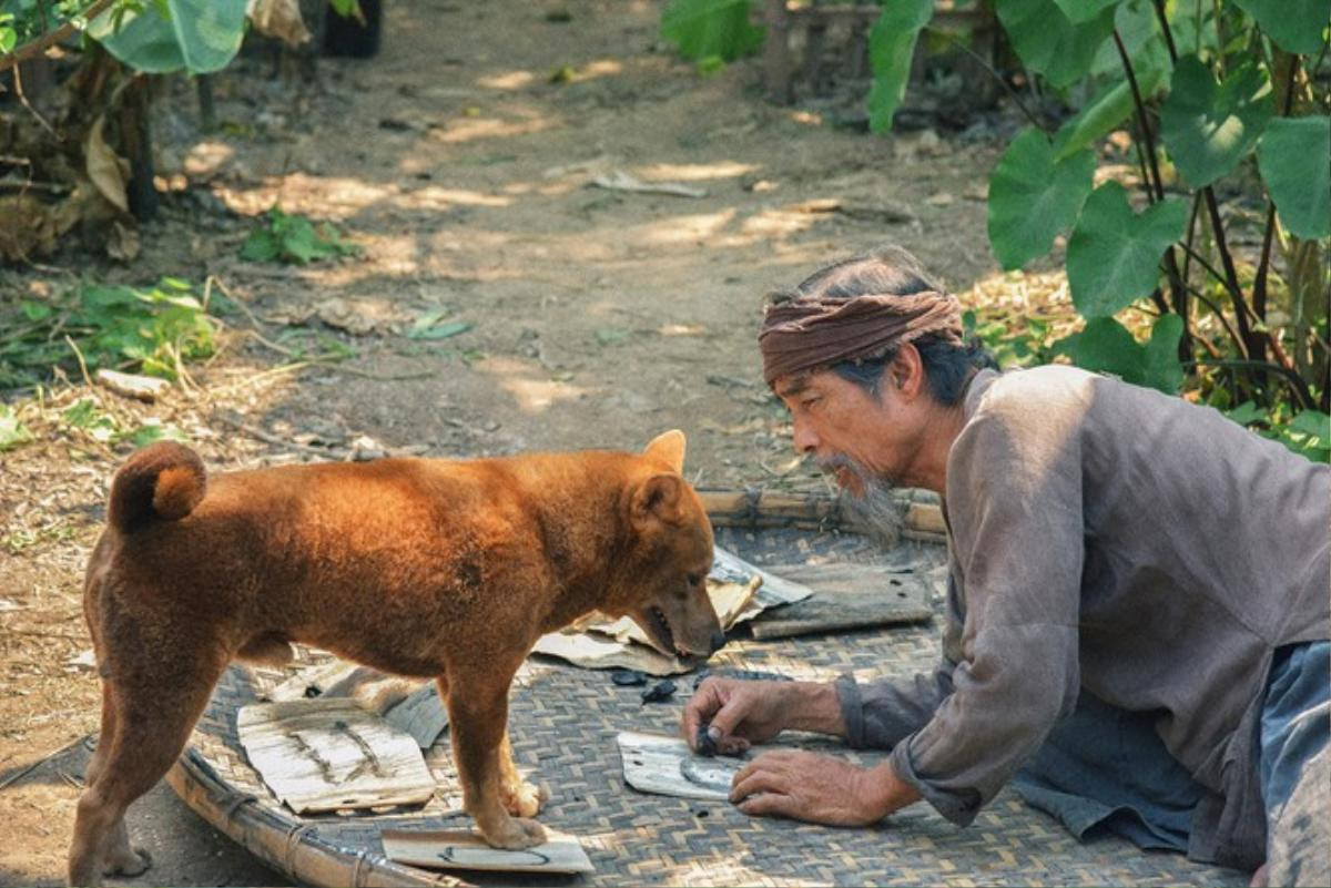 Review 'Cậu Vàng': Tái hiện bức tranh làng quê đầy đau thương và ám ảnh trong kiệt tác văn học Việt Ảnh 6